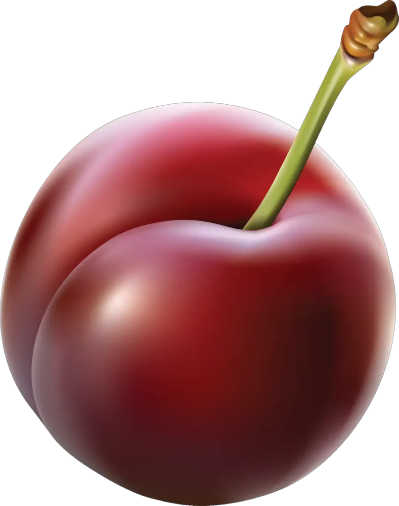 Plum Emoji png 