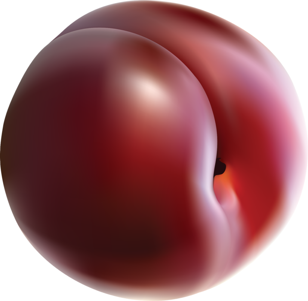 Plum Clipart png