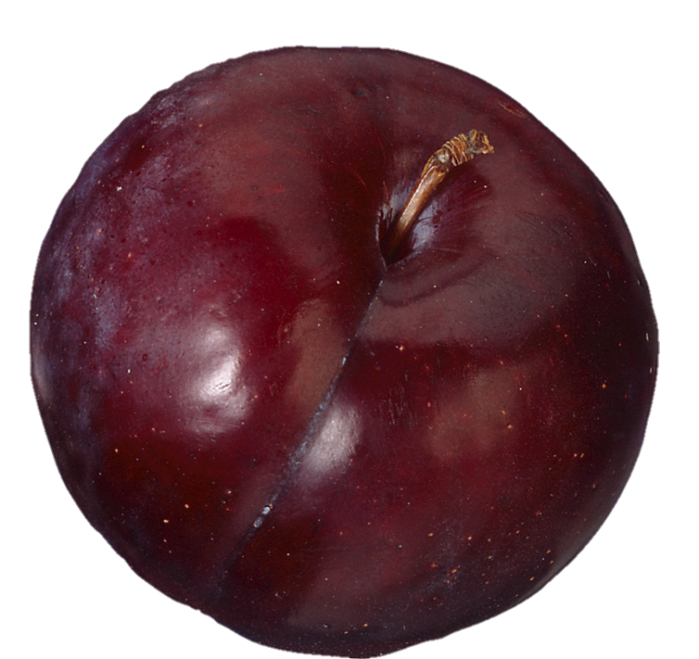 Plum PNG Transparent Images Free Download - Pngfre