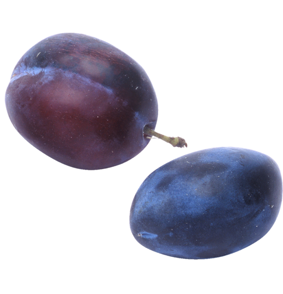 Plum prune png 