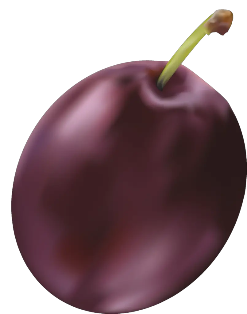 Plum Illustration Png