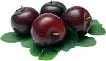 Imported Plum Png