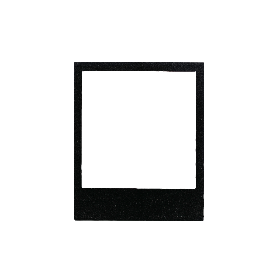 Polaroid112
