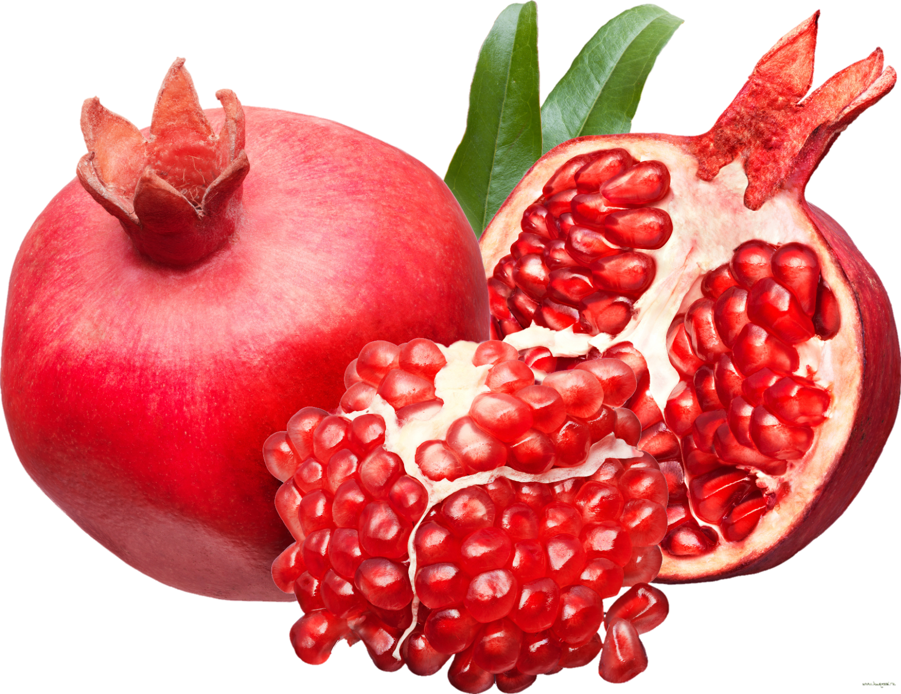 Pomegranate-10