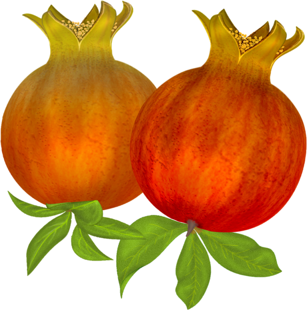 Animated Pomegranate png