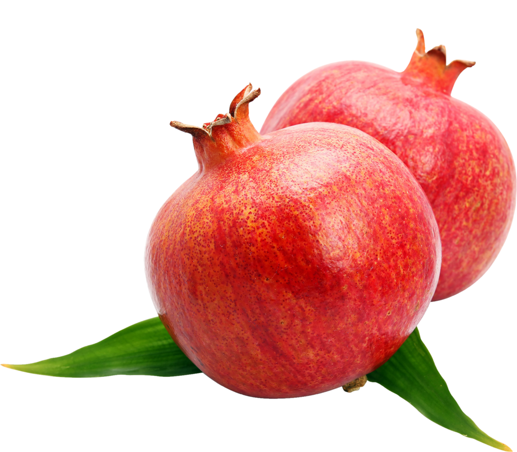 Pomegranate-14-2