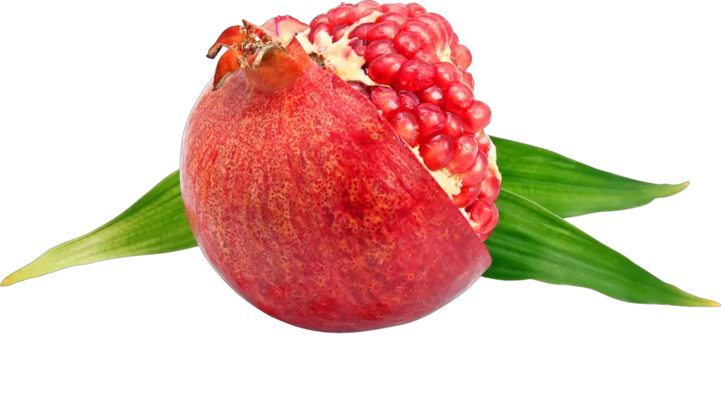 Fruit Pomegranate png