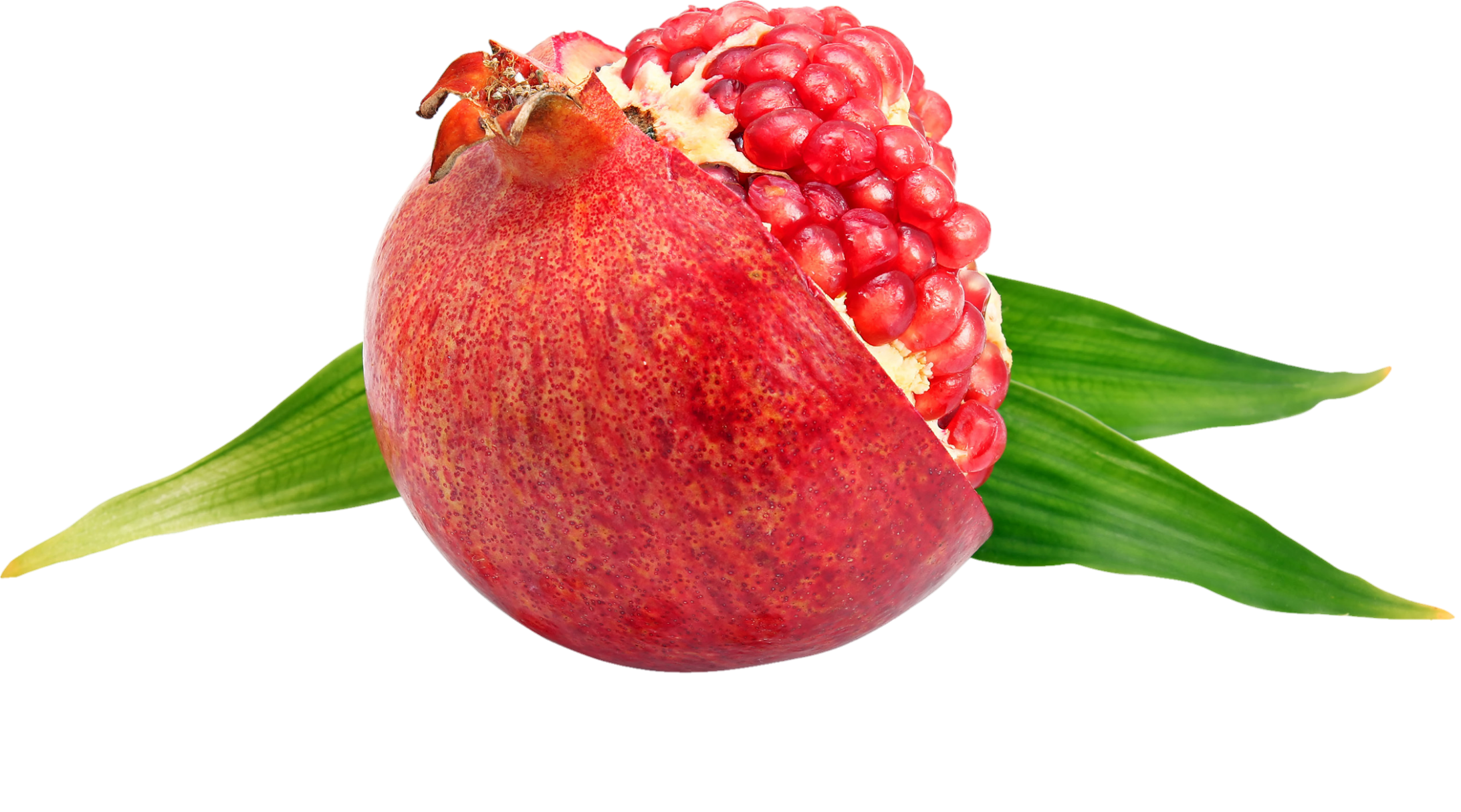 Pomegranate-16