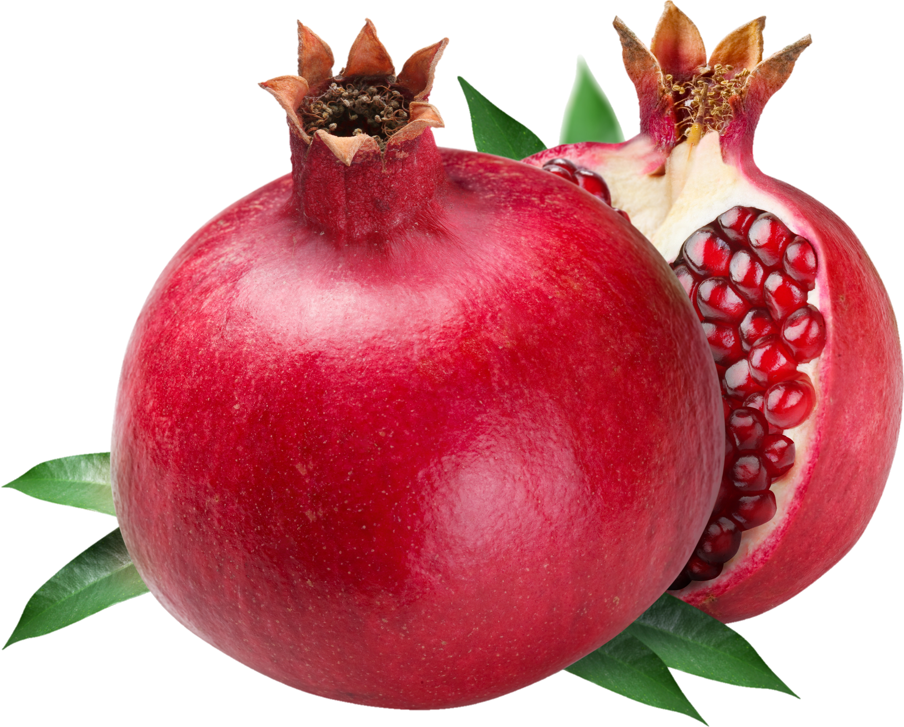 Pomegranate-18