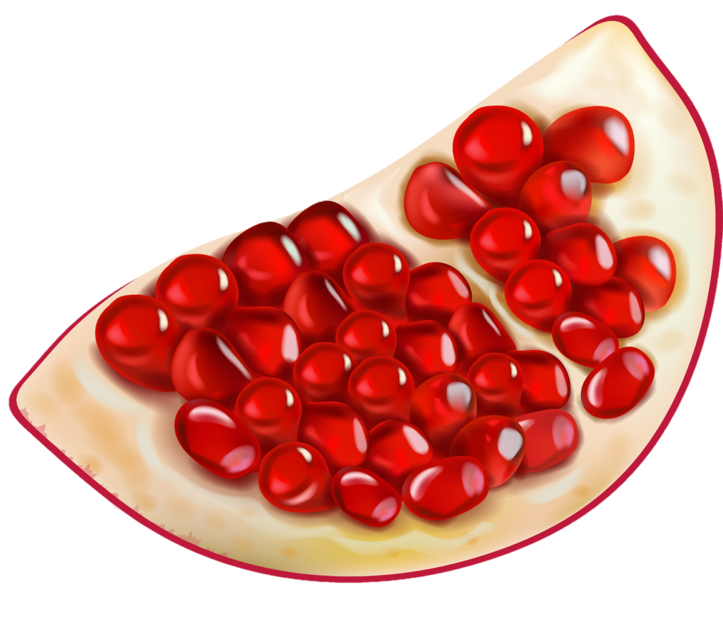 Pomegranate Seeds png
