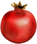 Pomegranate Png image