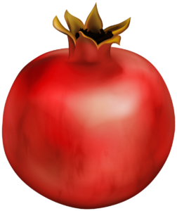 Pomegranate Png image
