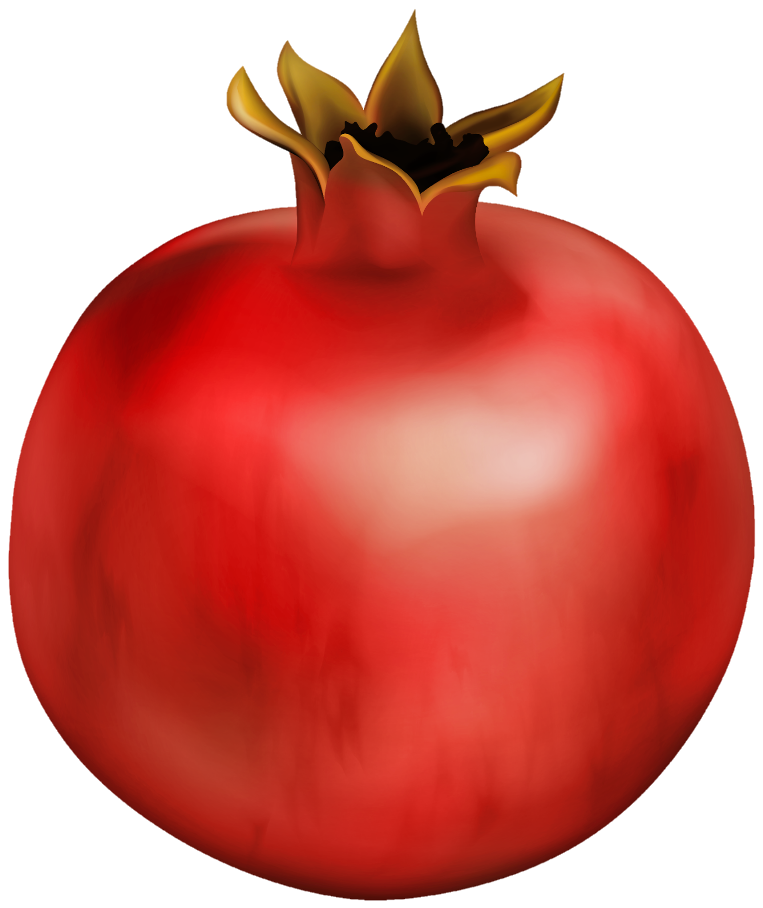 Pomegranate-24