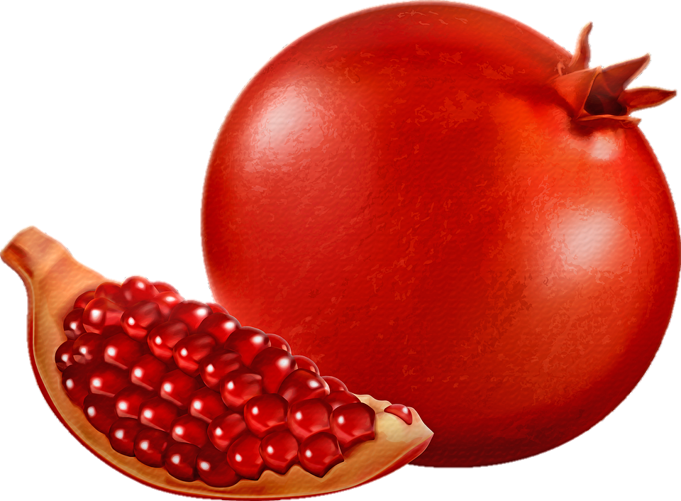 Illustration Pomegranate png