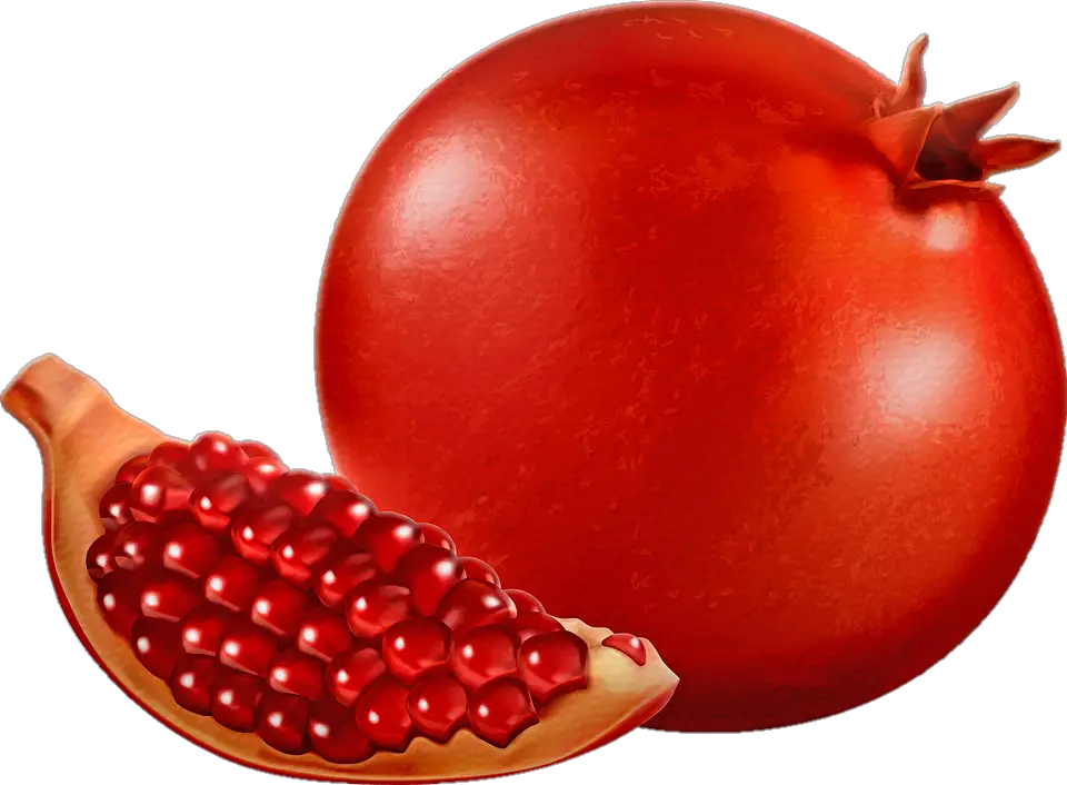 Illustration Pomegranate png