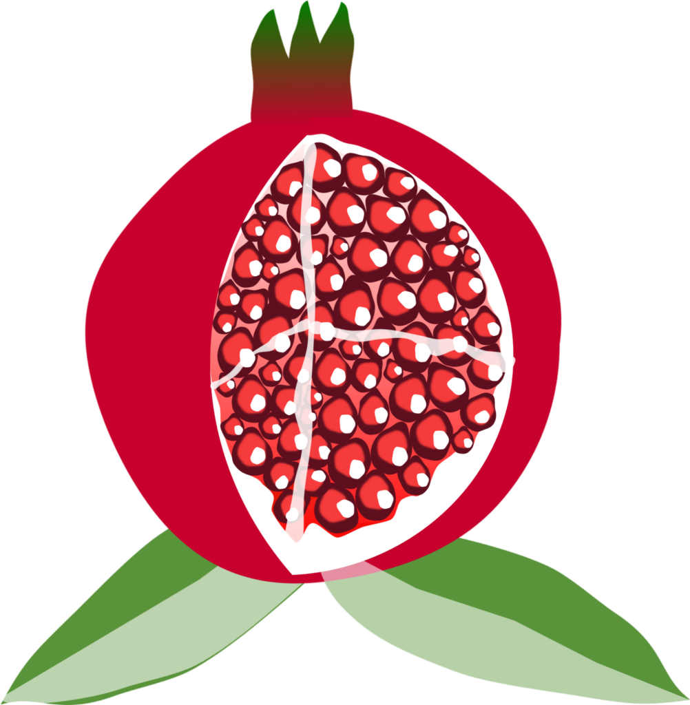 Pomegranate vector png