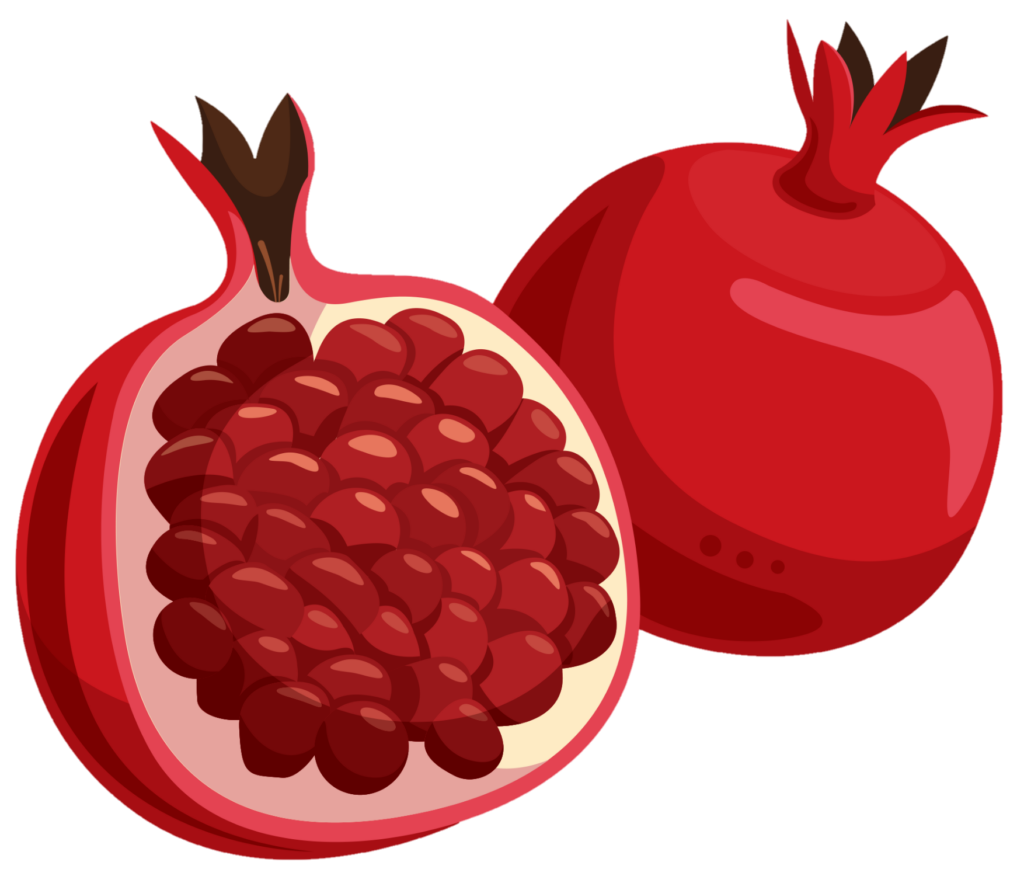 Pomegranate png clipart