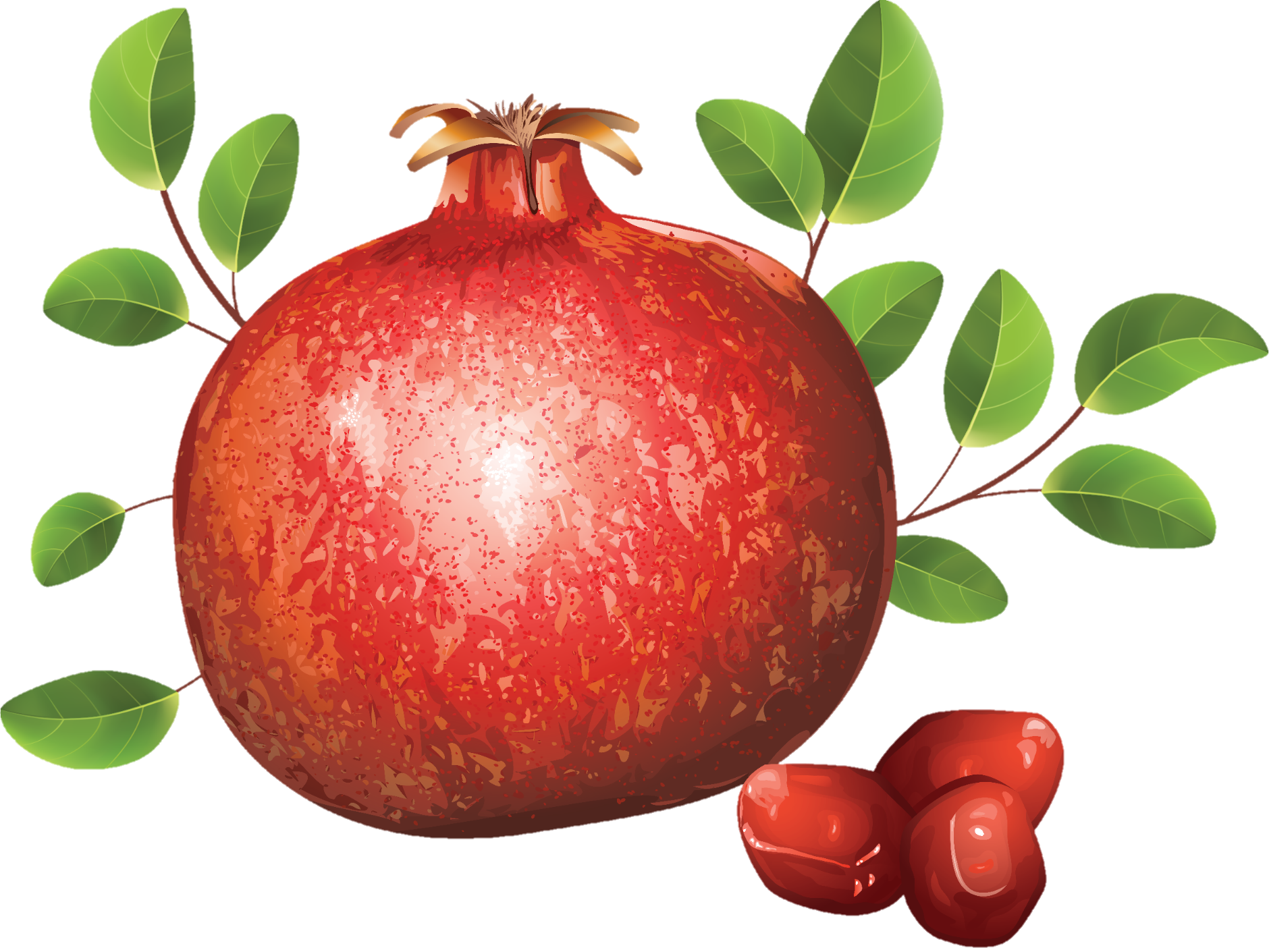 Pomegranate-8-1