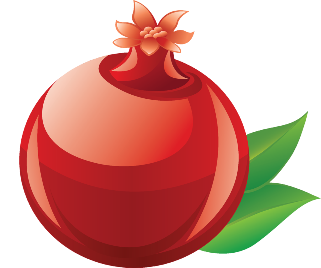 Vector Pomegranate png