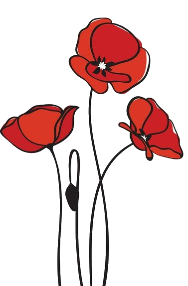 Animated Poppy Flowers Png