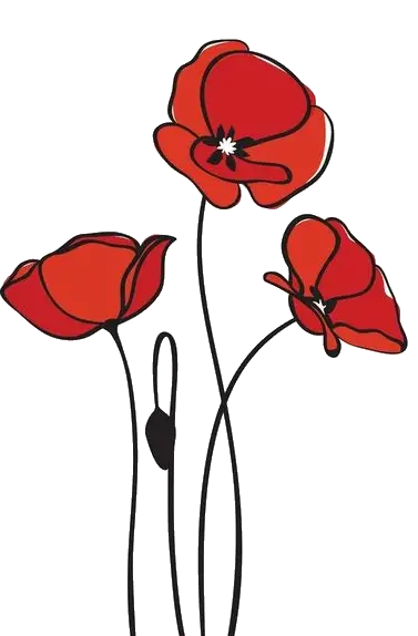 Animated Poppy Flowers Png