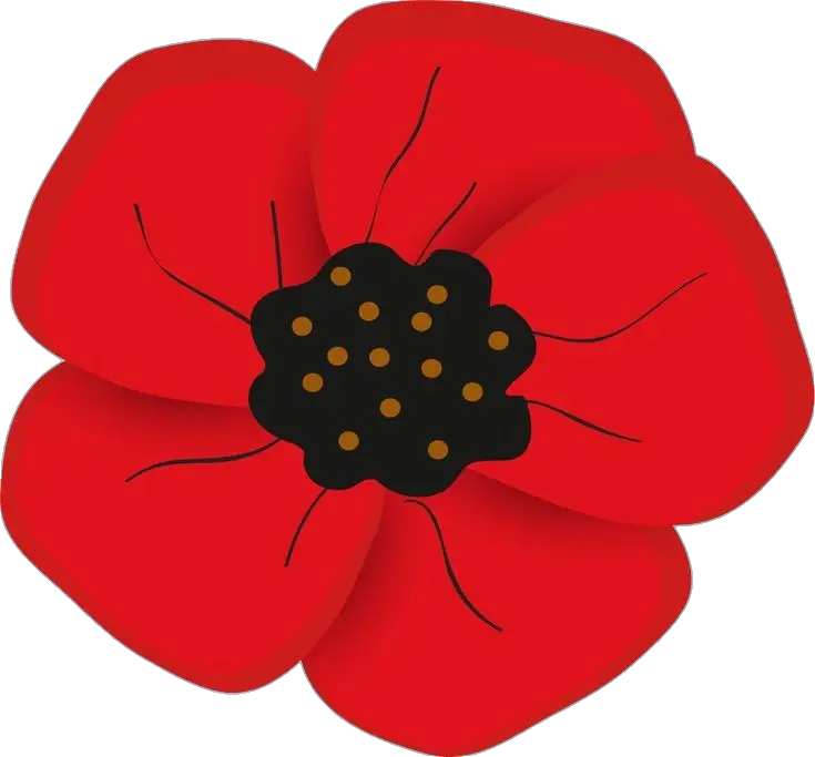 Red Poppy Flower Png