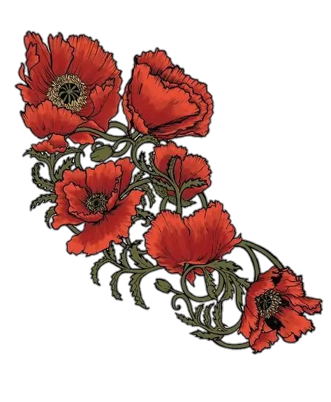 Poppy Flower Art Png