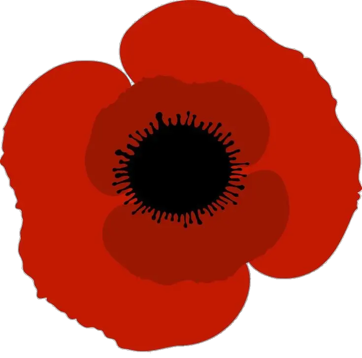 Red Poppy Flower Vector Png