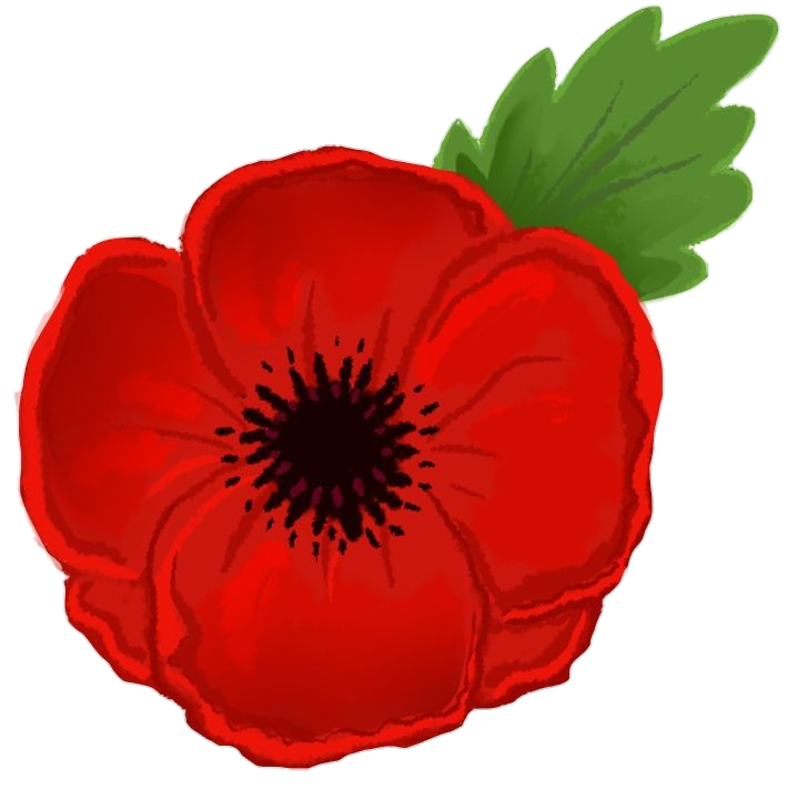 Poppy Flower Drawing Png
