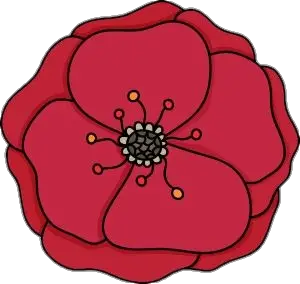 Poppy Flower clipart Png