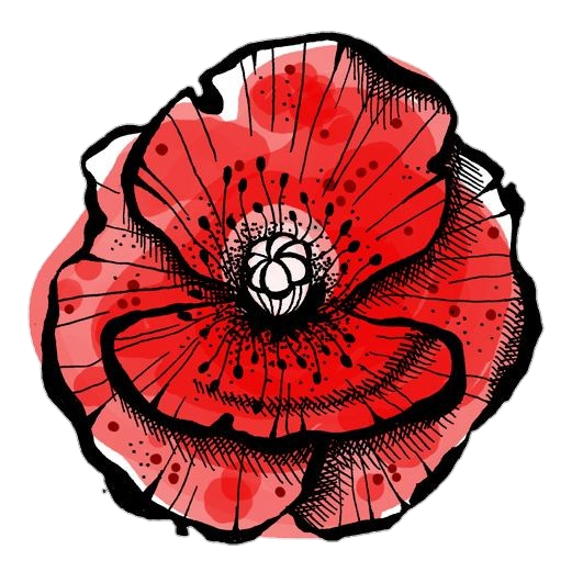 Poppy Flower Drawing Png