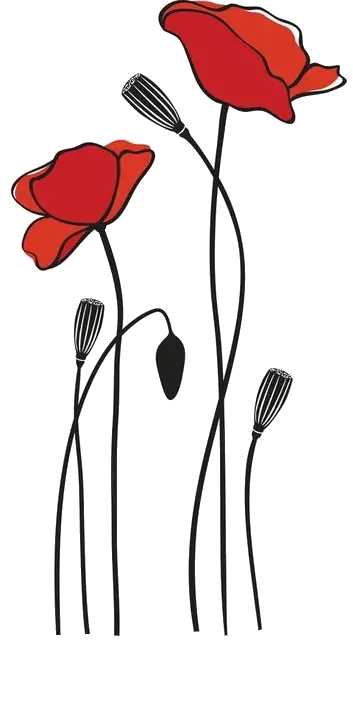 Poppy Flower vector Design Png