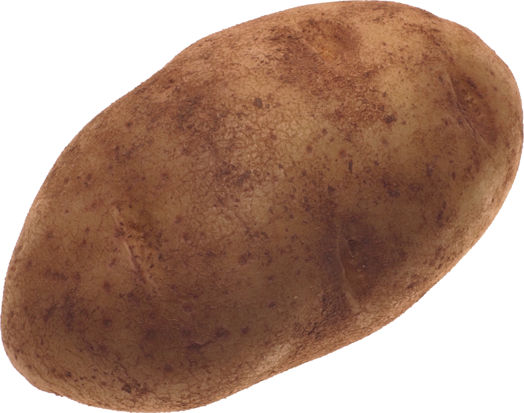 Potato-14-1
