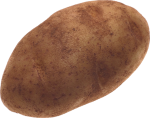 HD Potato Png