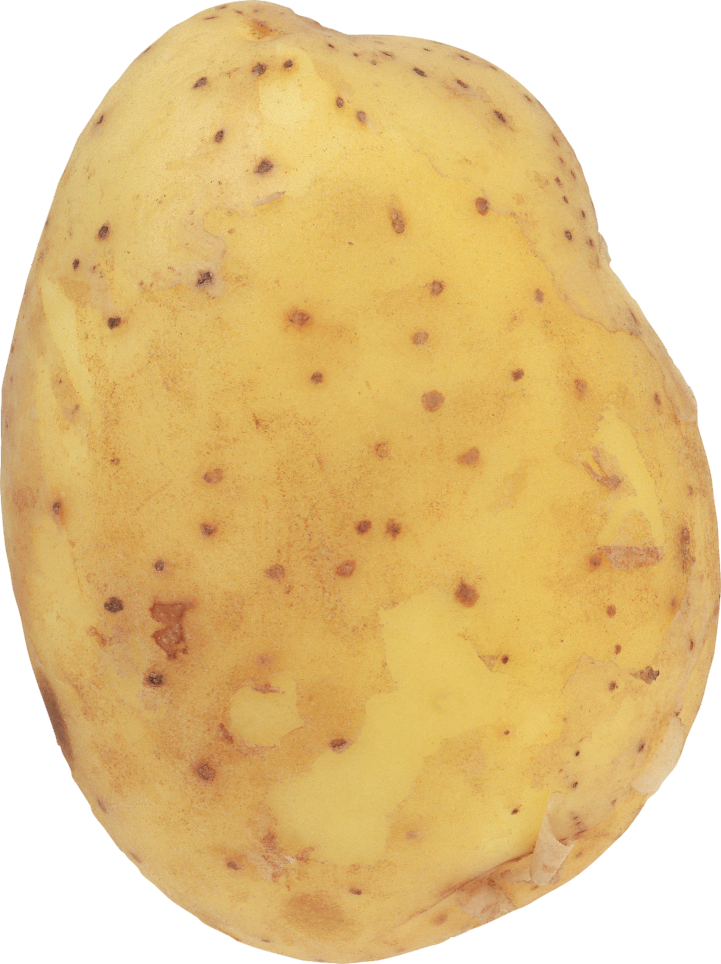Potato-16-1