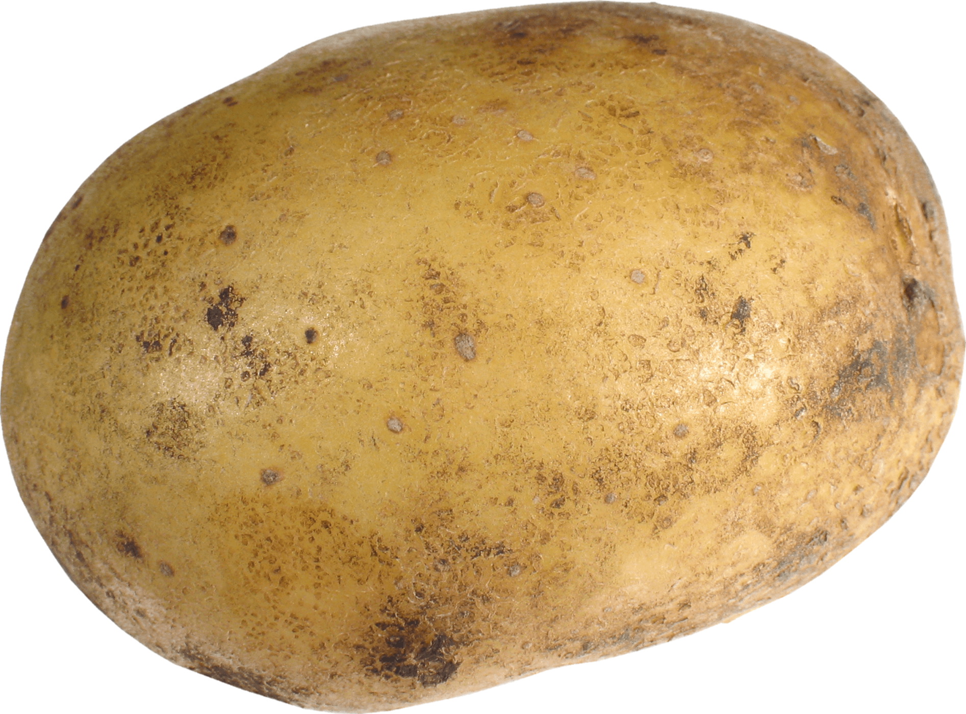 Potato-20-1