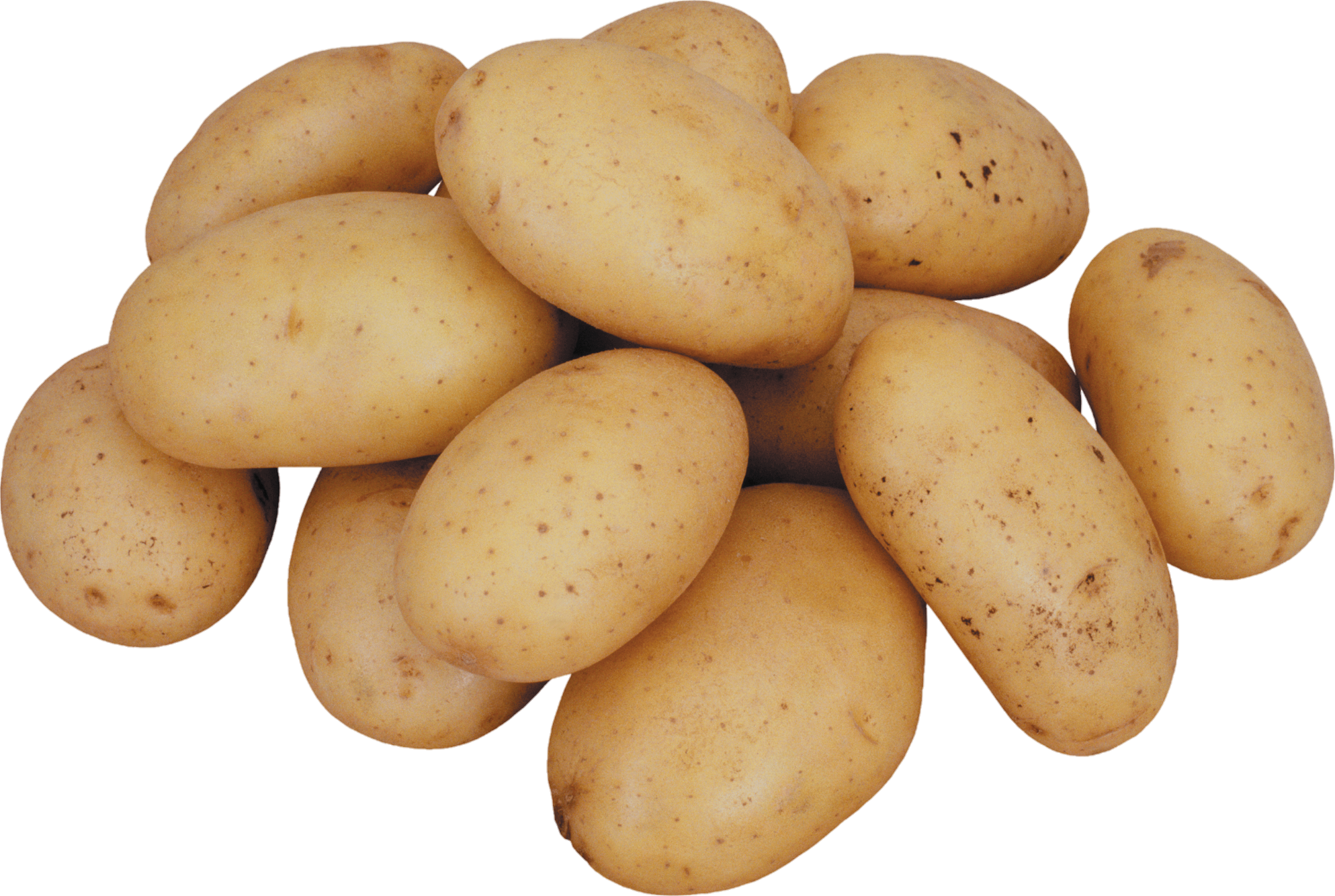 Potato-21
