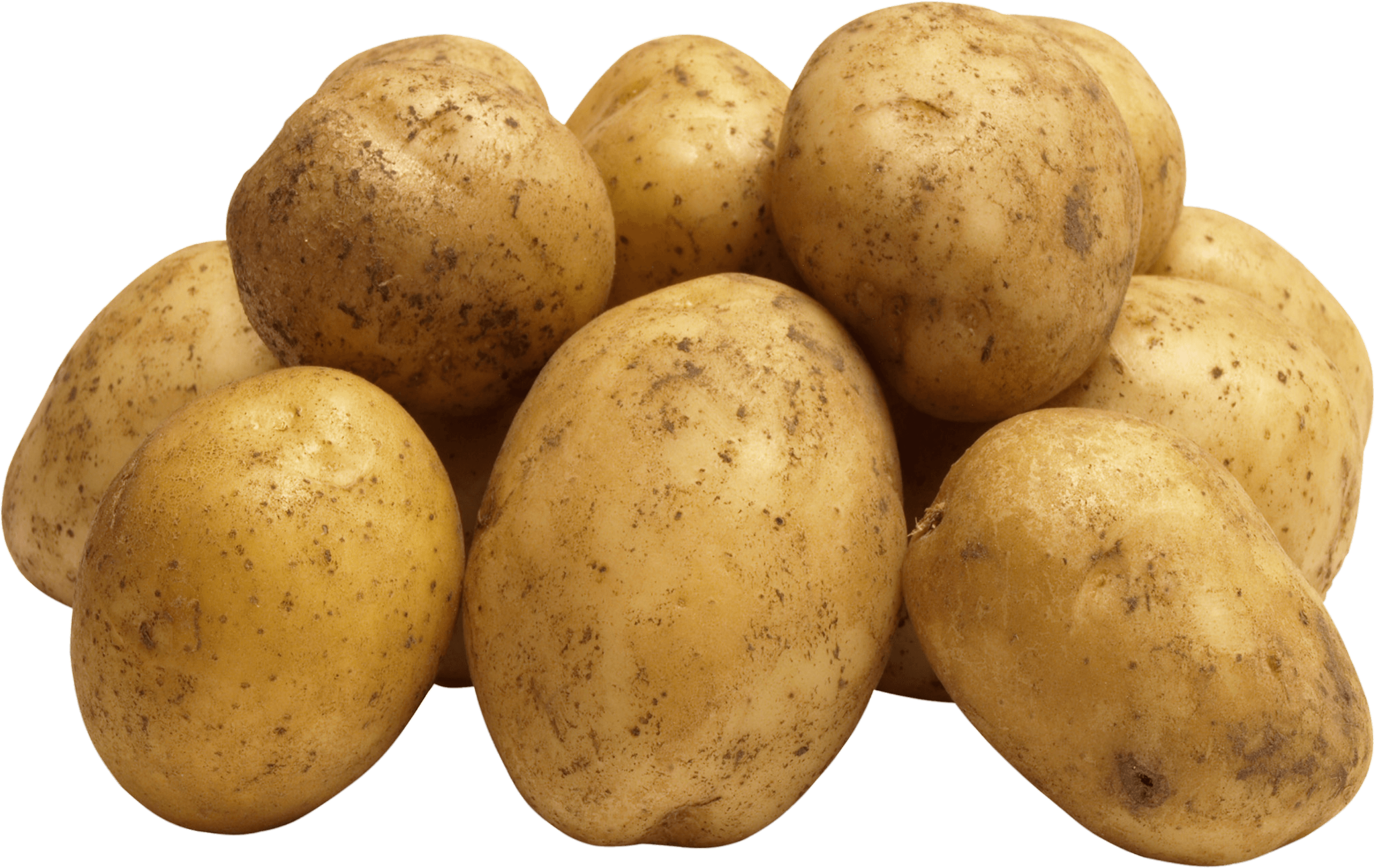 Potato-22