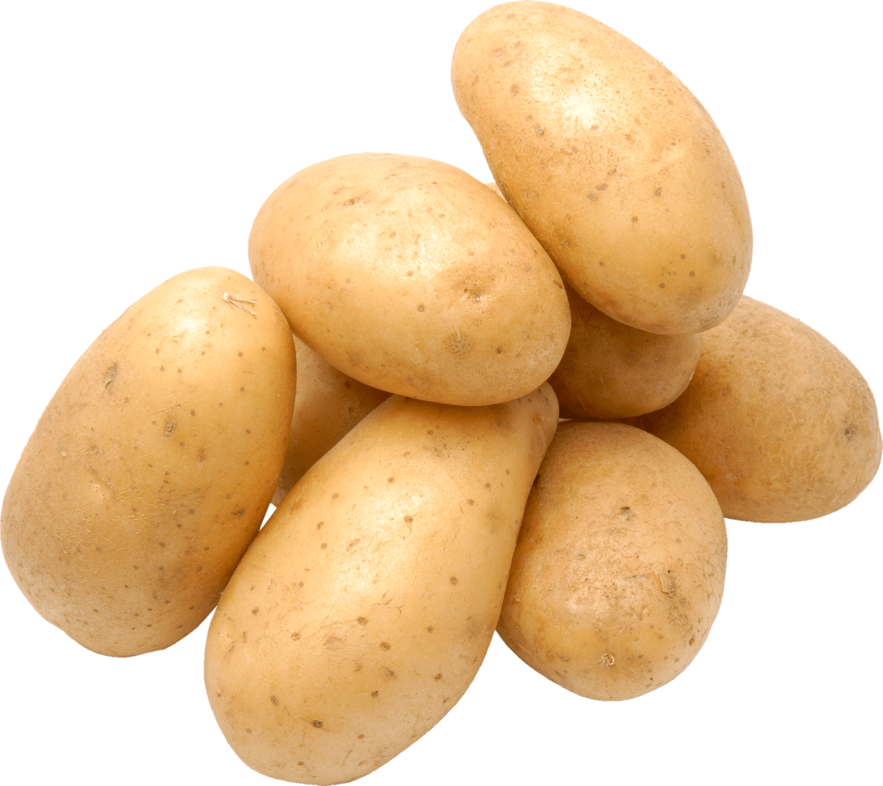 Potato-23