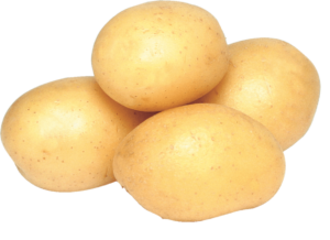 Potato Png clipart