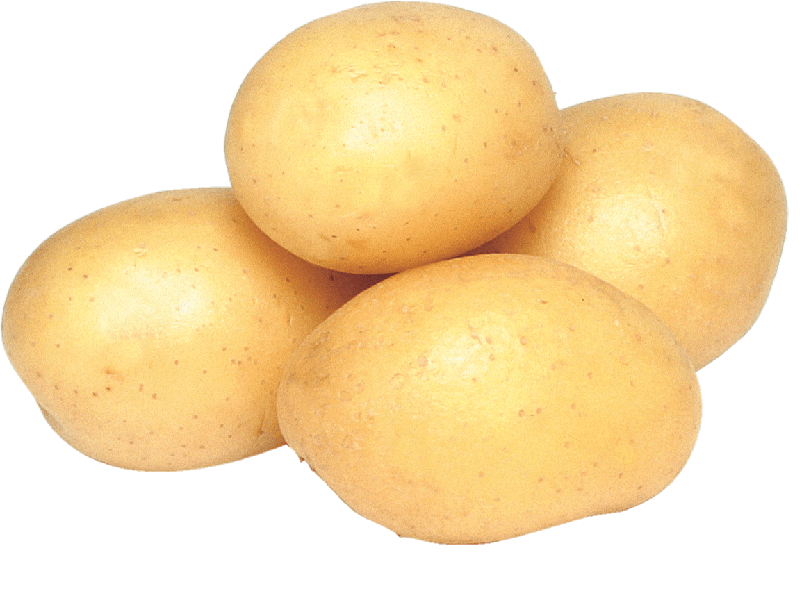 Potato-25