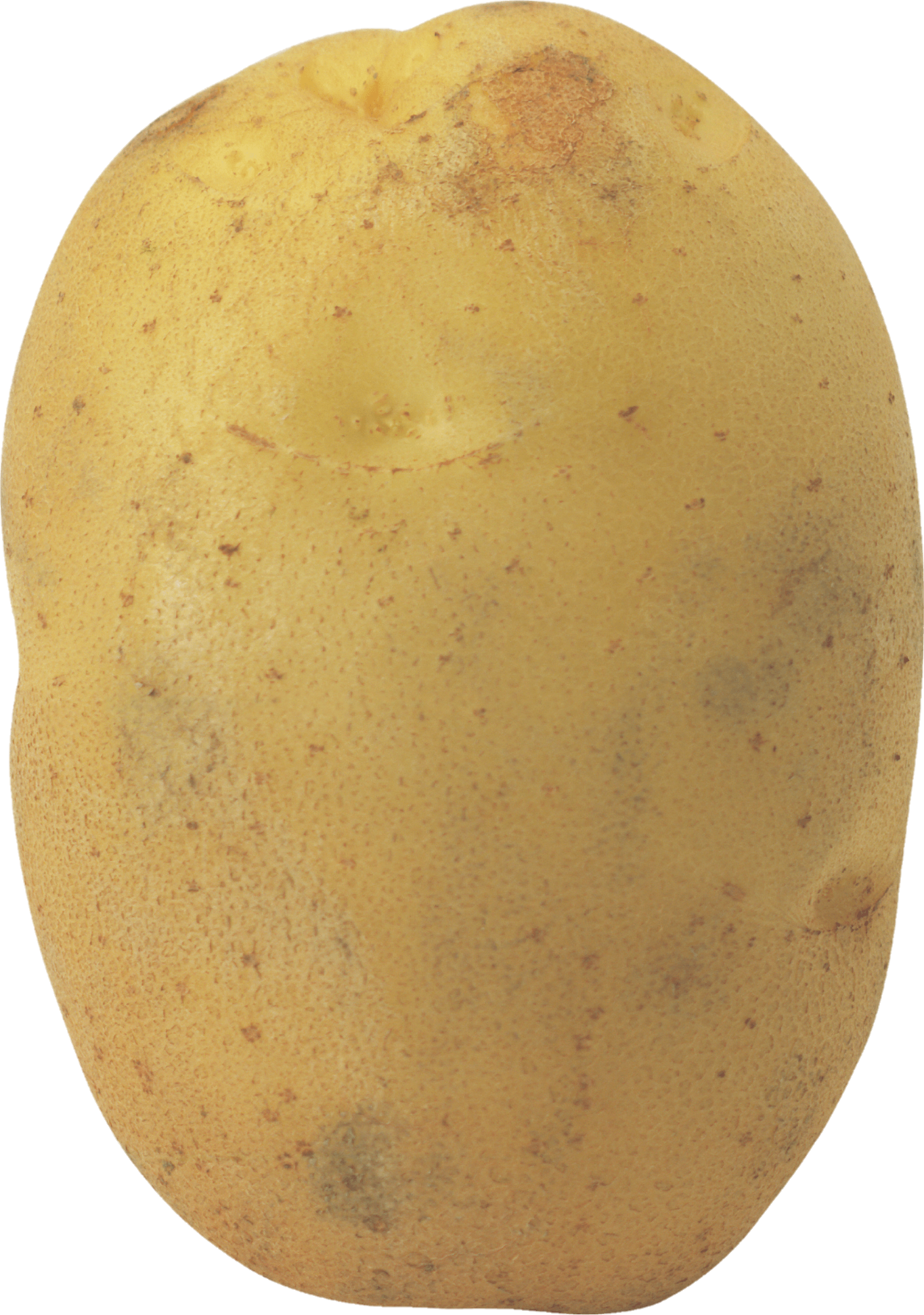 Potato-26-1