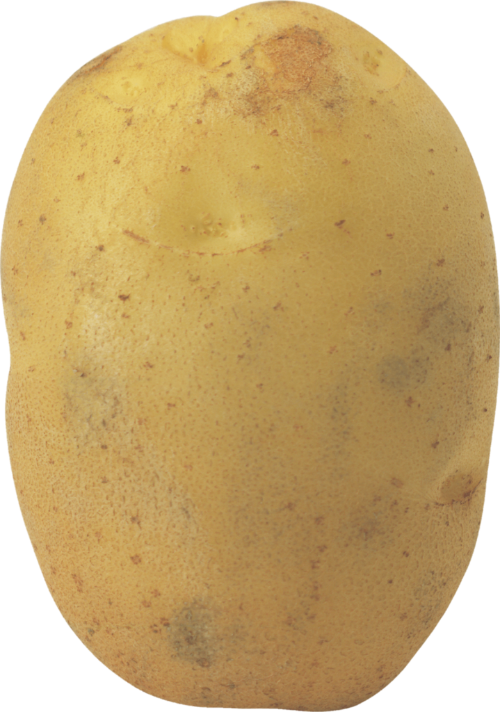 Single Potato Png