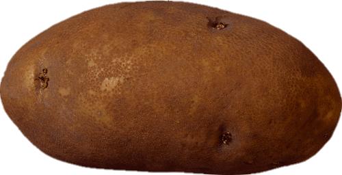 Brown Potato Png
