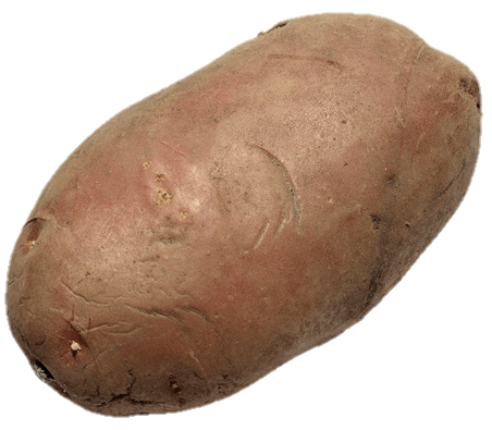 Potato Png Image