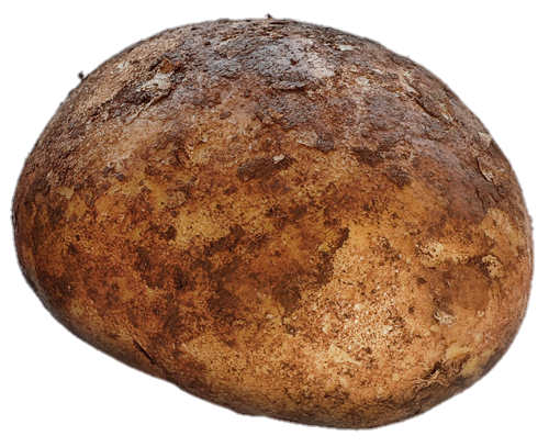 Single Potato Png