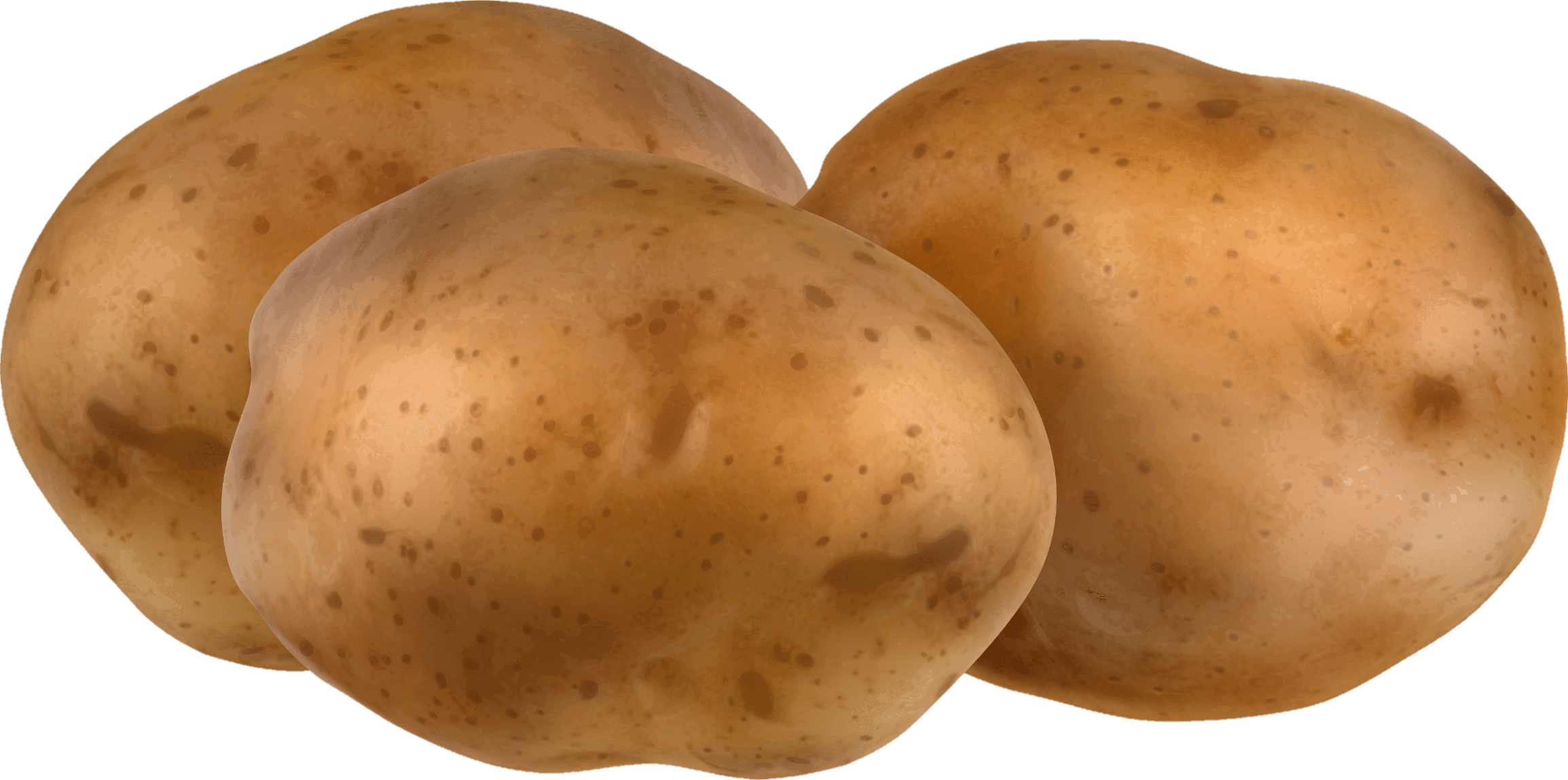 Potato-5-1