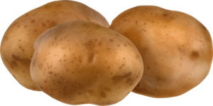 Potato Png clipart