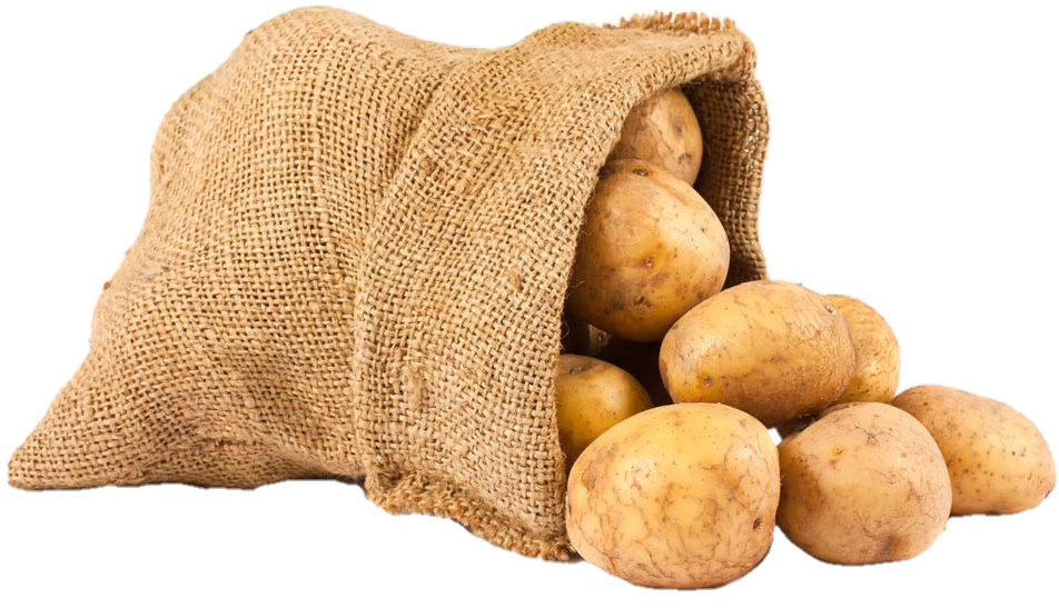 Potato-6