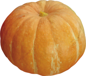 Transparent Pumpkin Png